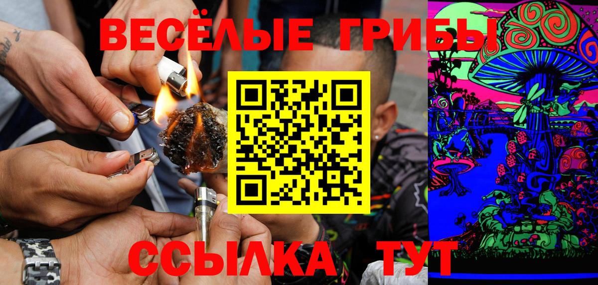 Сочи  Псилоцибиновые грибы Cubensis  Вход с VPN 